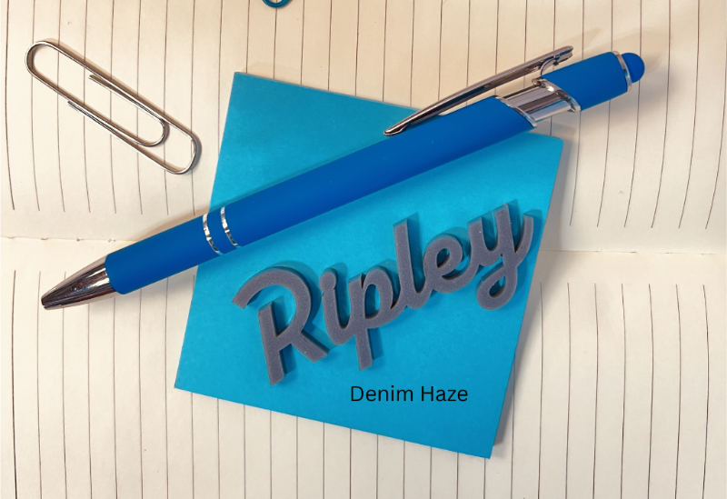 Blue pen and sticky note with 'Ripley' on a lined paper background. From She Shed Designs