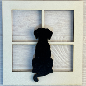 Interchangeable Frames