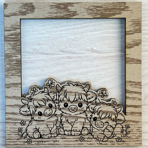 Interchangeable Frames