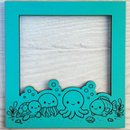 Interchangeable Frames