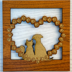 Interchangeable Frames